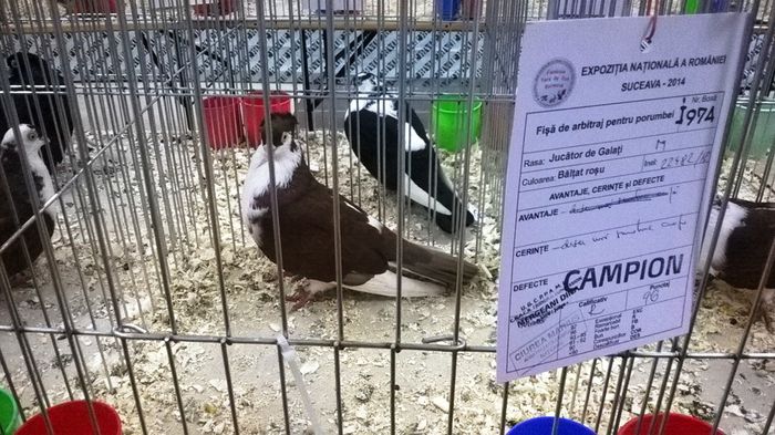 WP_20141128_19_49_32_Smart