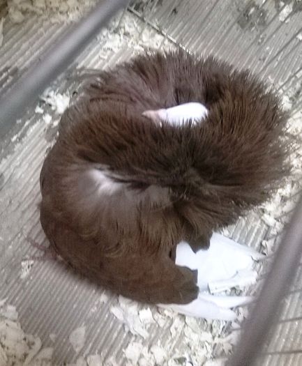 WP_20141128_19_52_47_Smart