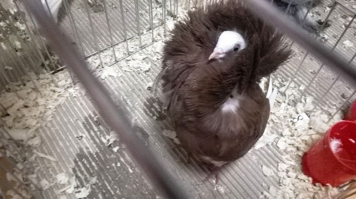 WP_20141128_19_52_57_Smart