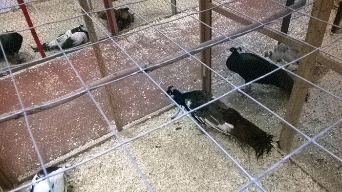 WP_20141128_20_12_55_Smart