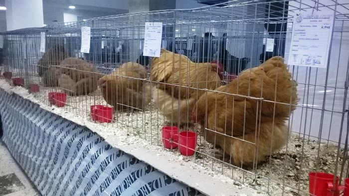 WP_20141130_12_02_39_Smart