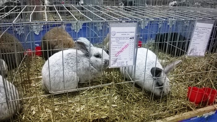 WP_20141130_12_03_25_Smart