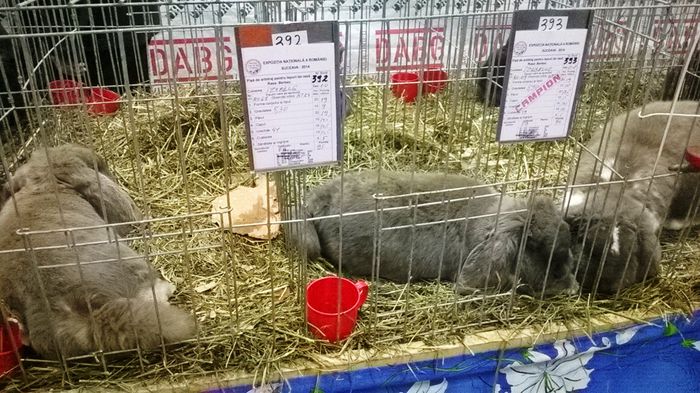 WP_20141130_12_04_09_Smart