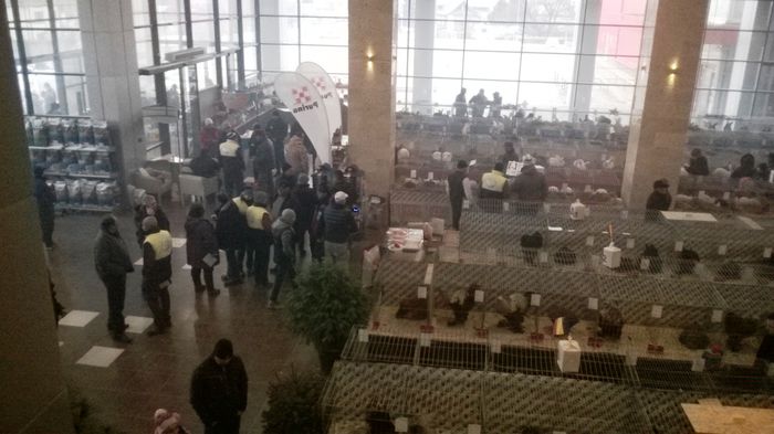 WP_20141130_12_15_52_Smart - Expozitia nationala Suceava 2014