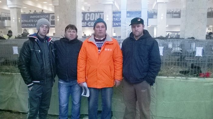 Club iepuri Galati la Suceava