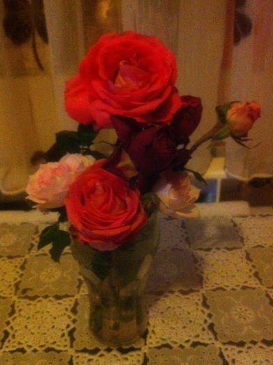Rose - Trandafiri 2014