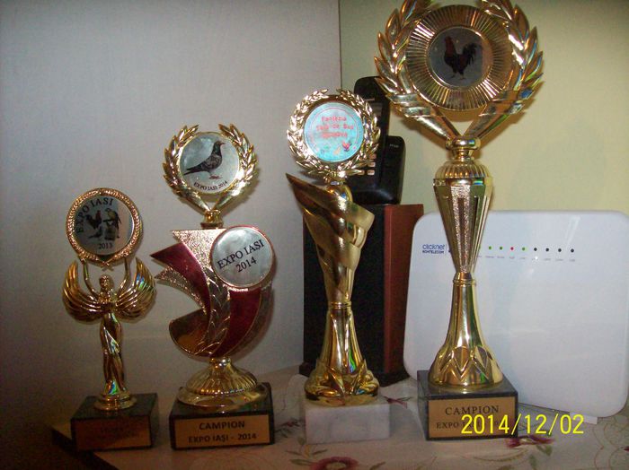 poze 09 11 2014 1072 - TROFEE