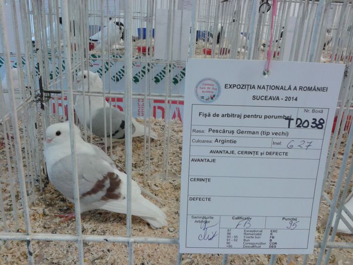 Expozitia Nationala Suceava 2014