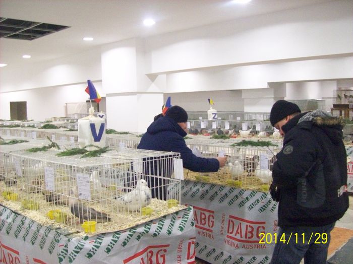 poze 09 11 2014 920 - POZE EXPO NATIONALA SUCEAVA 2014