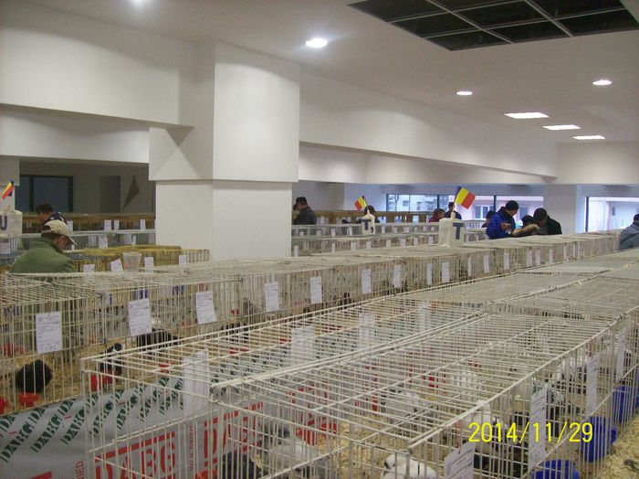 poze 09 11 2014 922 - POZE EXPO NATIONALA SUCEAVA 2014