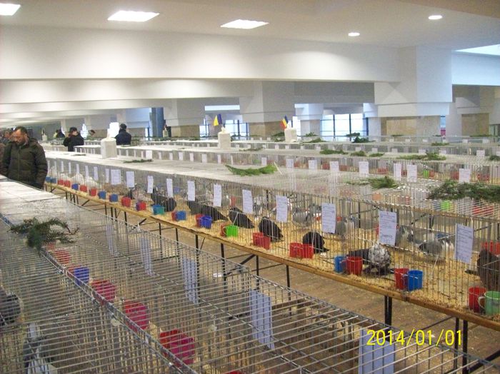 poze 09 11 2014 1035 - POZE EXPO NATIONALA SUCEAVA 2014