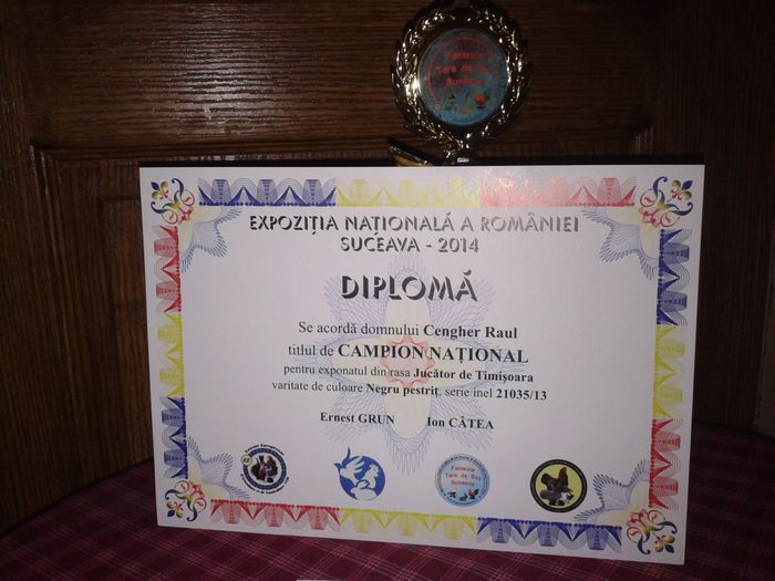 Expozitia Nationala Suceava 2014 - Titluri Campion National