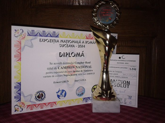 Expozitia Nationala Suceava 2014 - Titluri Campion National