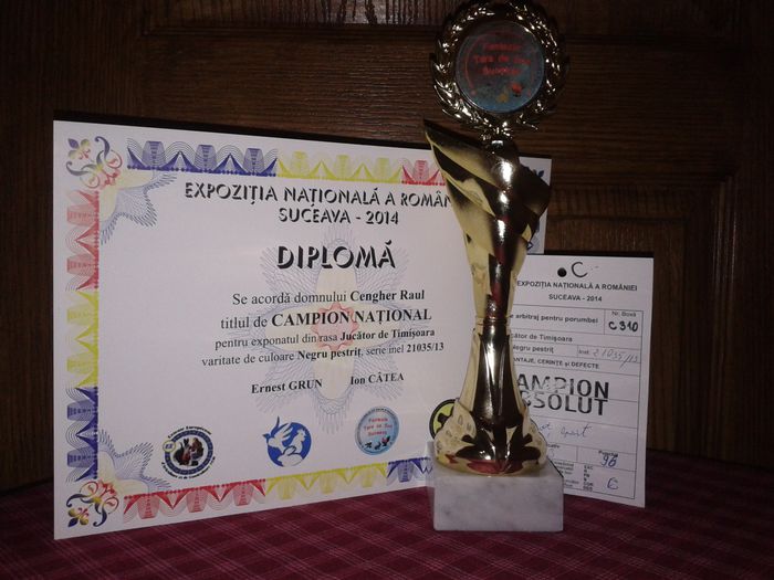 Expozitia Nationala Suceava 2014