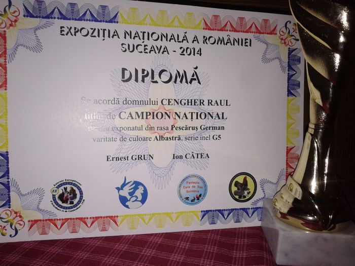 Expozitia Nationala Suceava 2014