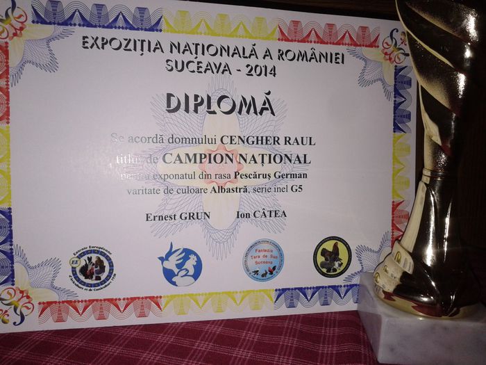 Expozitia Nationala Suceava 2014 - Titluri Campion National