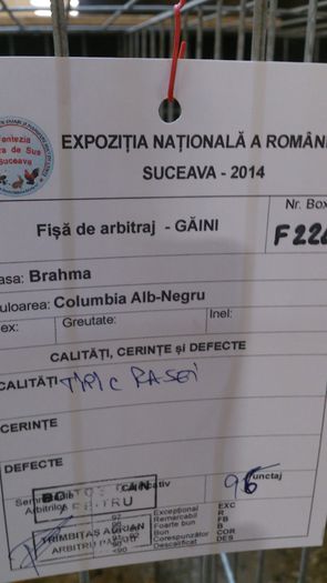 fisa mascul 2 BHD - REZULTATE EXPOZITIA NATIONALA SUCEAVA 27-30 11 2014