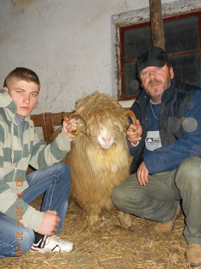 Picture 1970 - Berbeci 2o14-2015