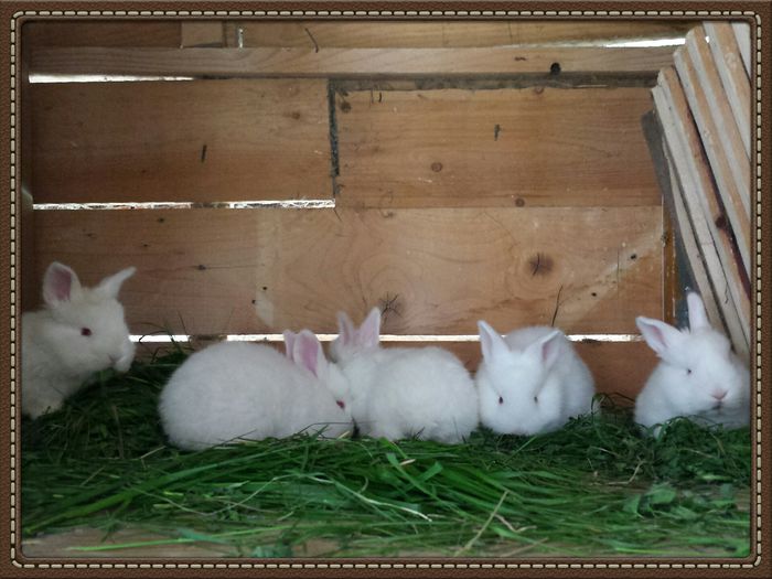 2014-04-13 16.30.34-1