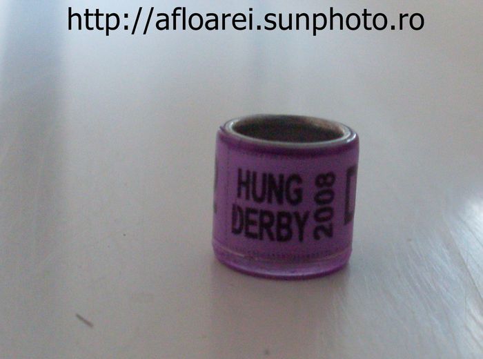 hung derby 2008