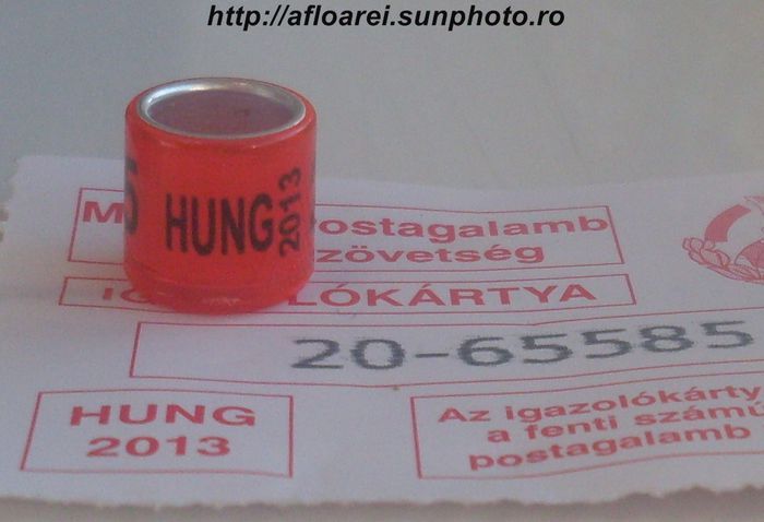 hung 2013 - UNGARIA-HUNG