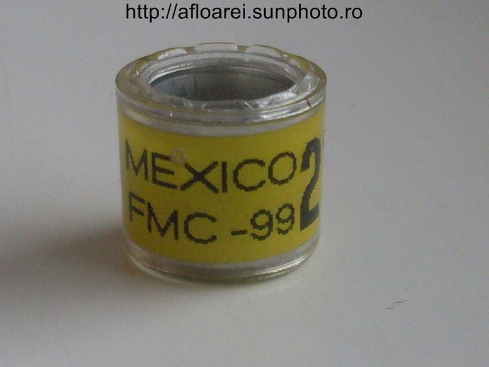 mexico fmc 99 - MEXIC