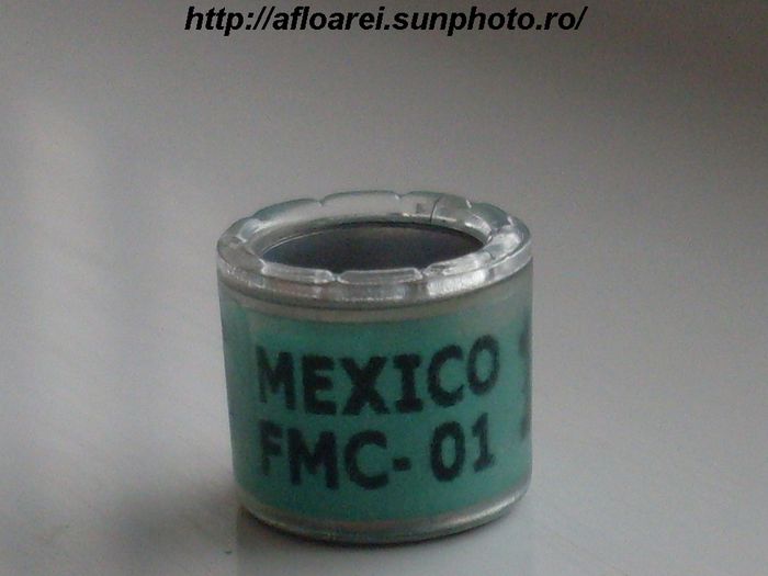 mexico fmc 01 - MEXIC