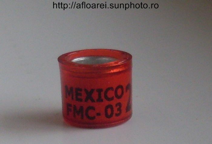 mexico fmc-03JPG - MEXIC