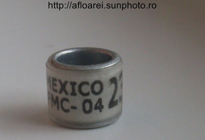 mexico fmc-04JPG - MEXIC