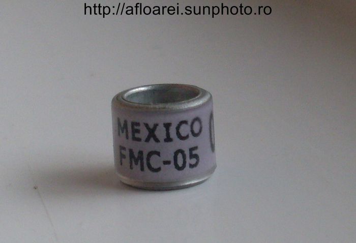 mexico fmc-05JPG - MEXIC