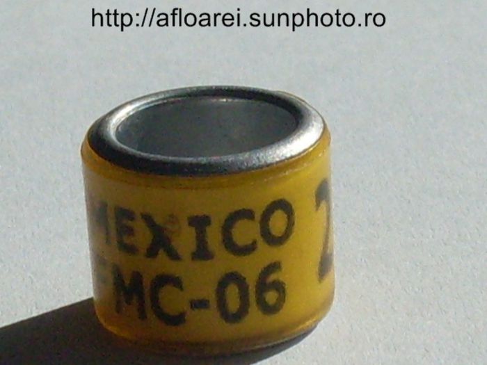 mexico fmc-06 - MEXIC
