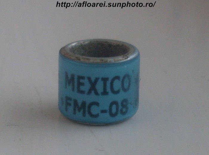 mexico fmc-08 - MEXIC