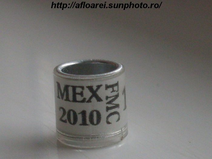 mex fmc 2010 - MEXIC