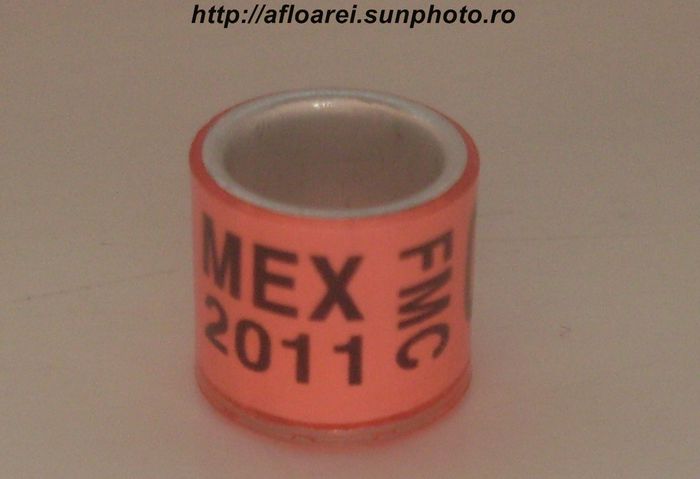 mex 2011 FMC - MEXIC