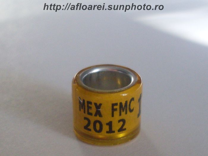 mex fmc 2012 - MEXIC