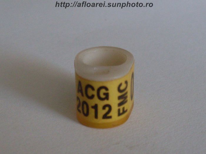 acg 2012 fmc