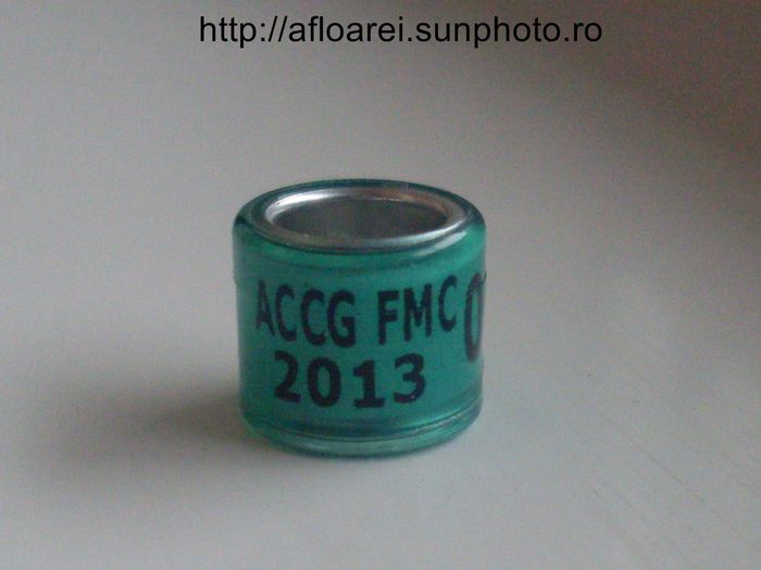 accg fmc 2013 - MEXIC