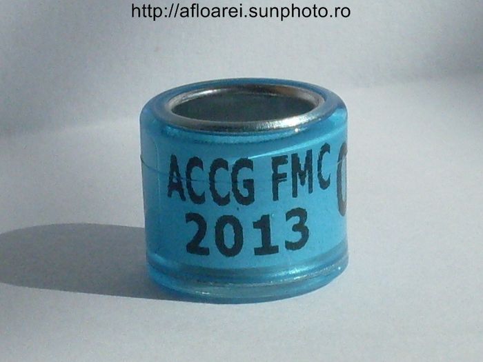accg fmc 2013 derby