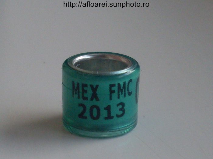 mex fmc 2013 - MEXIC