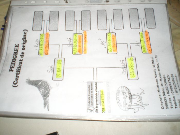 R.hermes+marcel desmet+v.d.pasch jansen m.delbar ian thelen t.peters