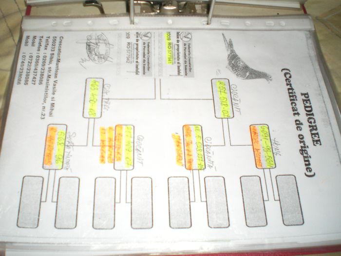 R.hermes+marcel desmet+v.d.pasch jansen m.delbar ian thelen t.peters