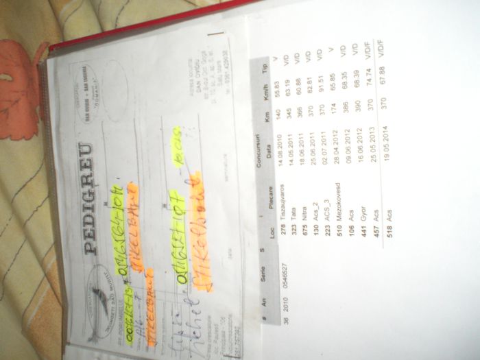 STICHELBAULT- DAN OVIDIU-SATU MARE