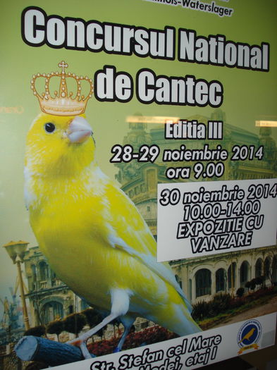 concurs 2014 166 - Concursul National de Cantec al Canarilor Waterslager 2014