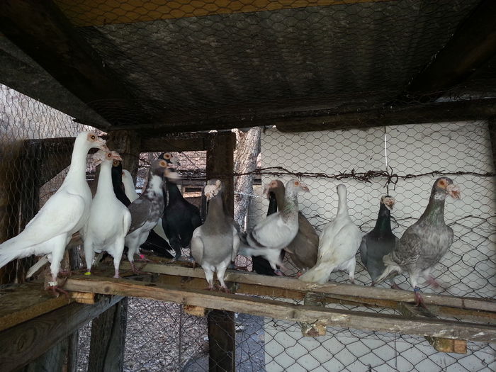 20141203_153557 - Carieri 2013-2014-2015