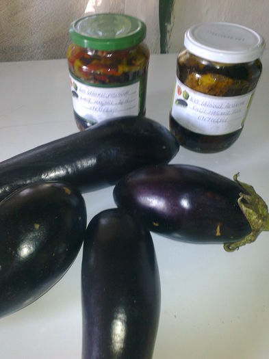 VINETE MARINATE 15 LEI