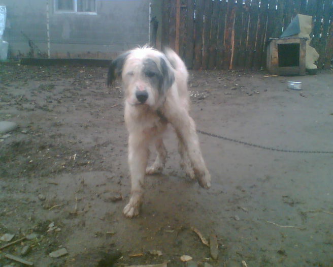 Imag014