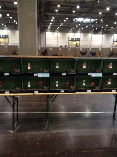 image - EXPO LEIPZIG 2014