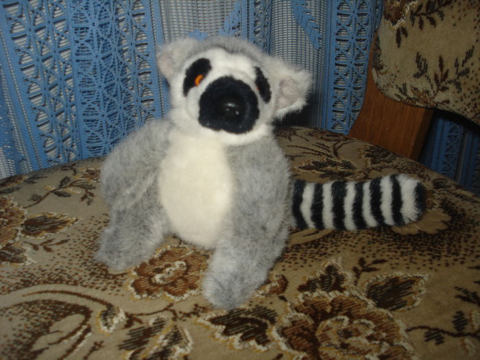 Maki cu coada inelata - 7 RON