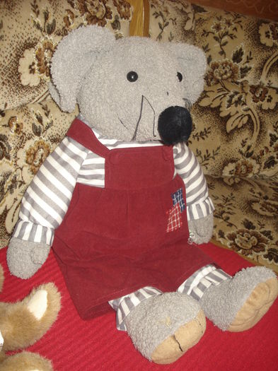 Soricel gri - 25 RON