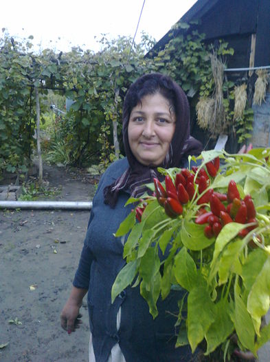 AJUTORUL MEU IN GRADINI